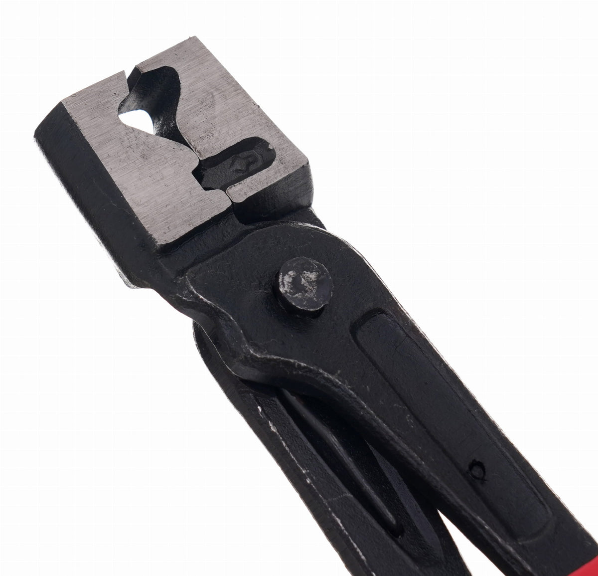 Kinnituspitsid kaablisidemetele KD10849 – pilt 6