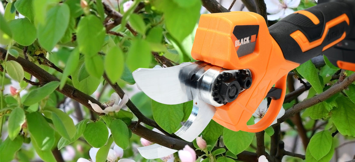 BLACKTOOLS juhtmevabad elektrilised oksakäärid 30 mm 100 W 53820 – pilt 9