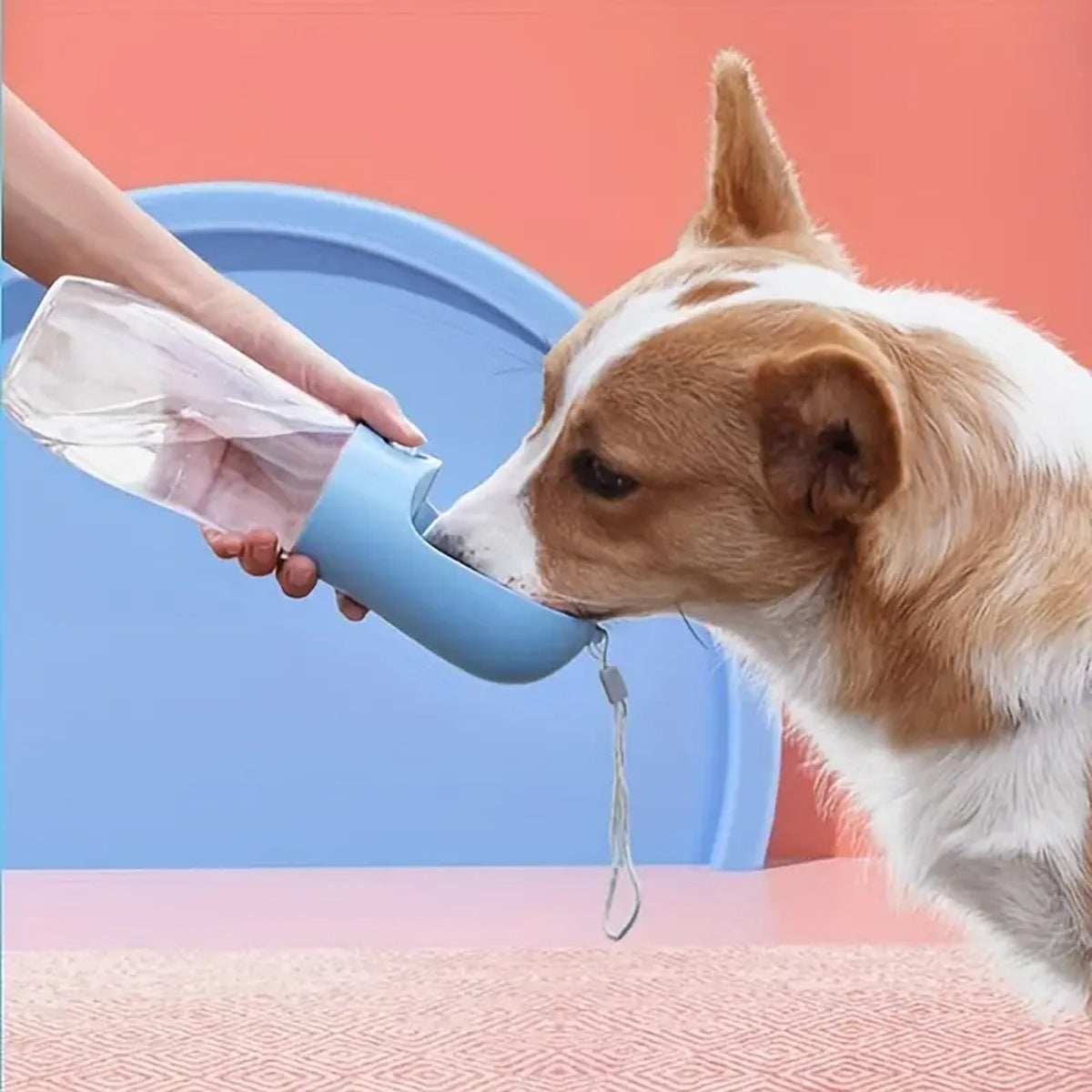 Kaasaskantav 350 ml mahutavusega veepudel kausiga koertele ja kassidele RC-K-1245-NIEBIESKA – pilt 1