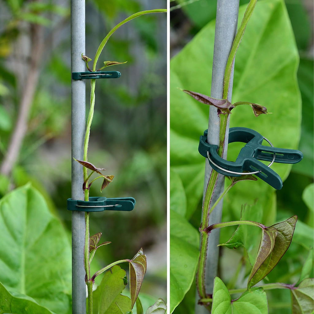 Tomatitaimede tugiklambrid 20 tk RC-K-2435 – pilt 10