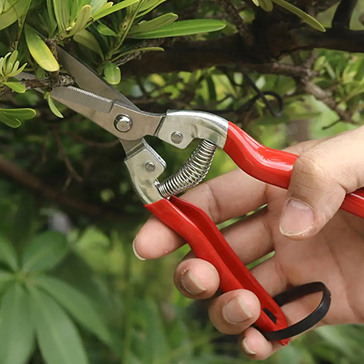 Ühekäelised aiakäärid põõsaste ja okste lõikamiseks RC-K-986 – pilt 7