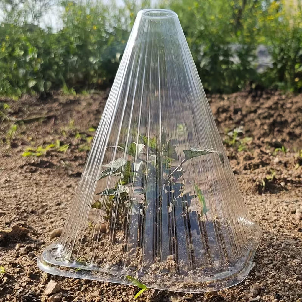 Taimekaitsekuplid istikutele ja kasvuhoones kasutamiseks, 22 cm, 10 tk RC-K-2438 – pilt 10