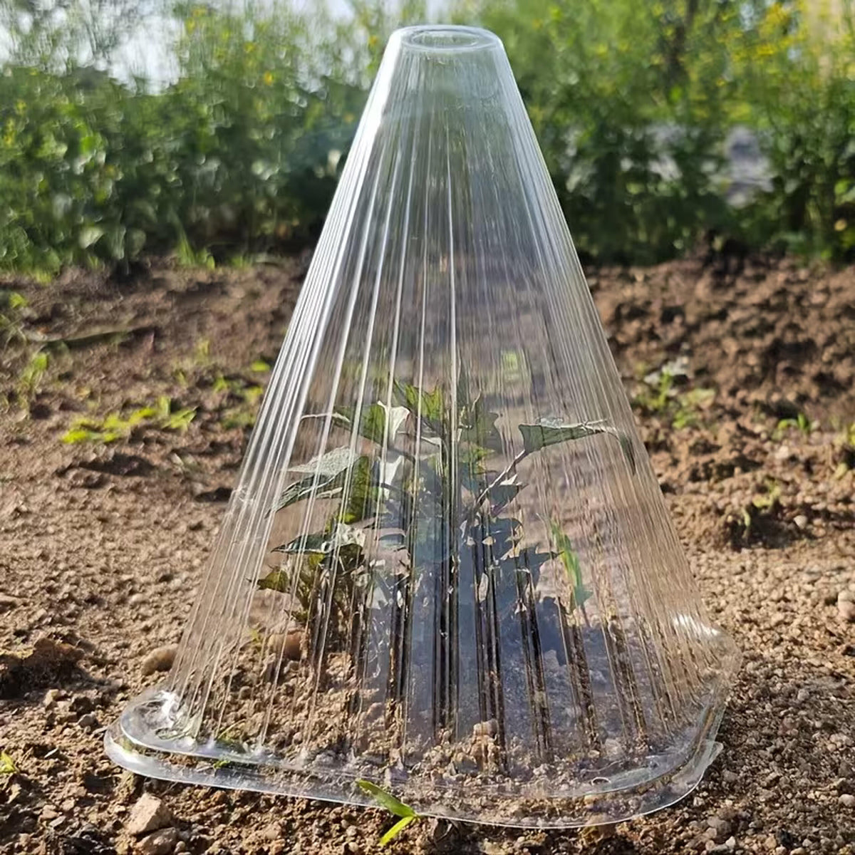 Taimekaitsekuplid istikutele ja kasvuhoones kasutamiseks, 22 cm, 10 tk RC-K-2438 – pilt 10