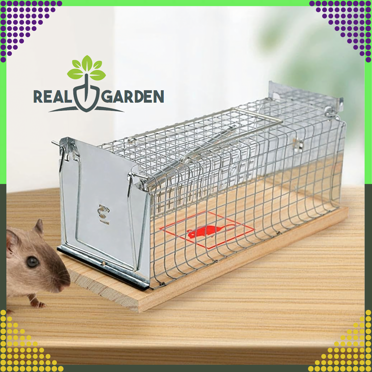 2 tk eluspüünist rottidele ja närilistele XXL RC-K-1266 – pilt 3