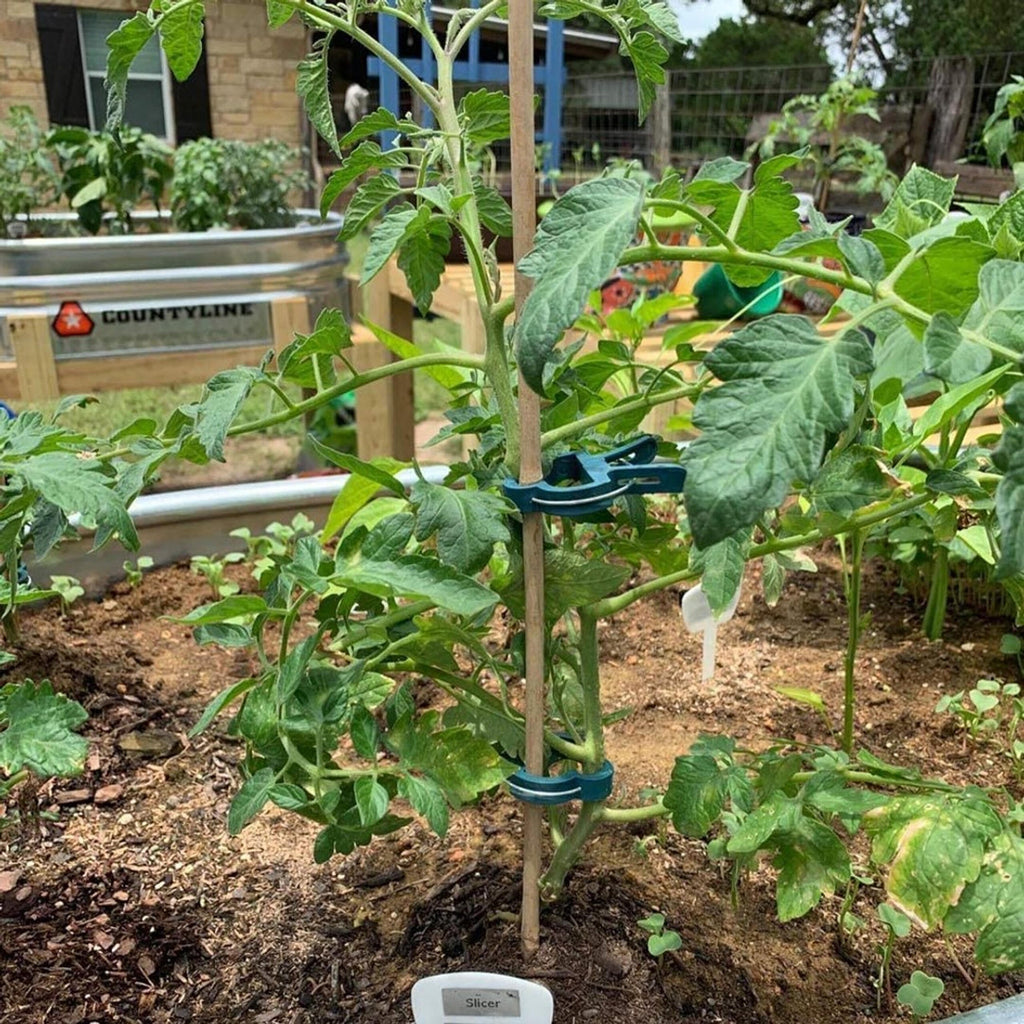 Tomatitaimede tugiklambrid 20 tk RC-K-2435 – pilt 8