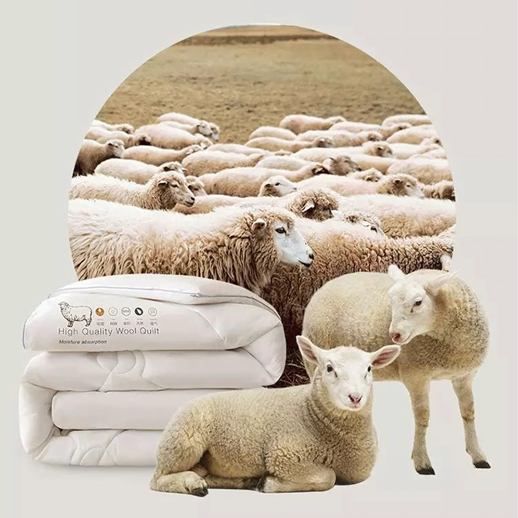 Lambavillast talvetekk 200 × 220 cm RC-K-2122 – pilt 5