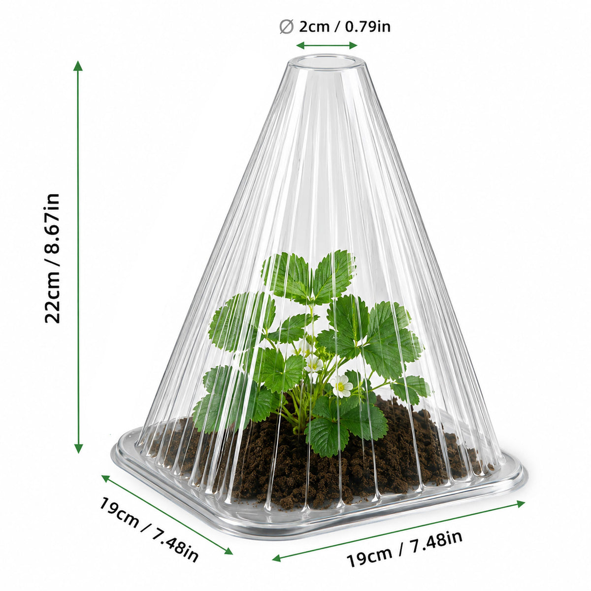 Taimekaitsekuplid istikutele ja kasvuhoones kasutamiseks, 22 cm, 10 tk RC-K-2438 – pilt 8