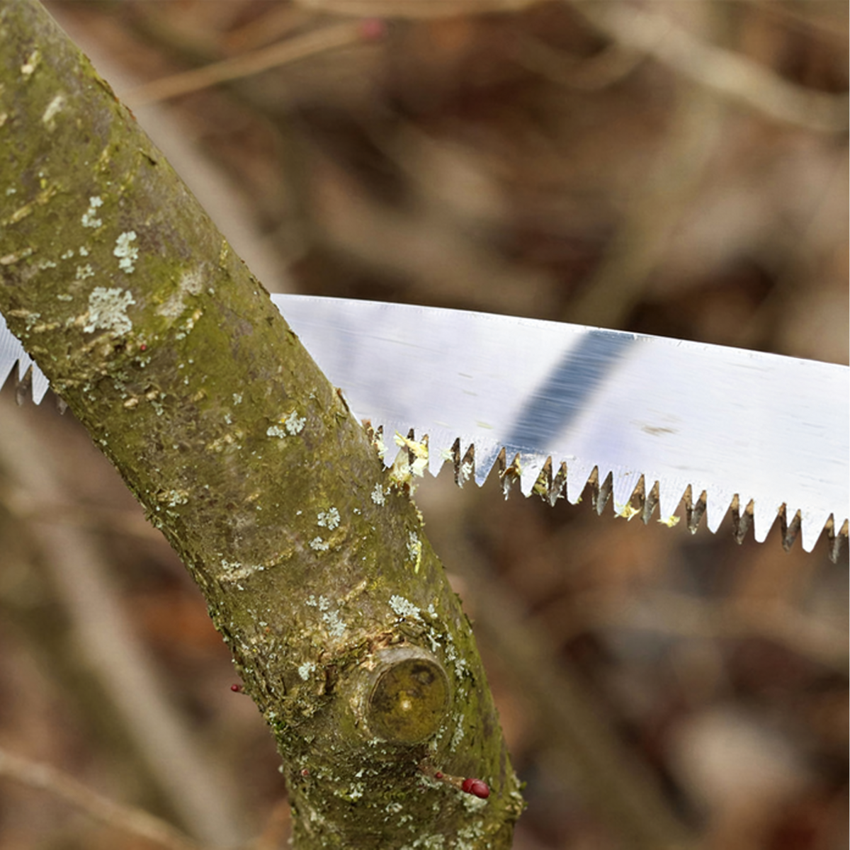 Konksuga käsisaag okste ja puidu saagimiseks, 40 cm terasteraga RC-K-2344 – pilt 4