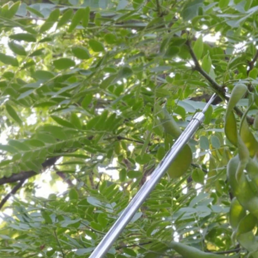 Teleskoopiline puuviljakorjaja 4 vahetatava korjapeaga, 400 cm vars RC-K-2213 – pilt 4