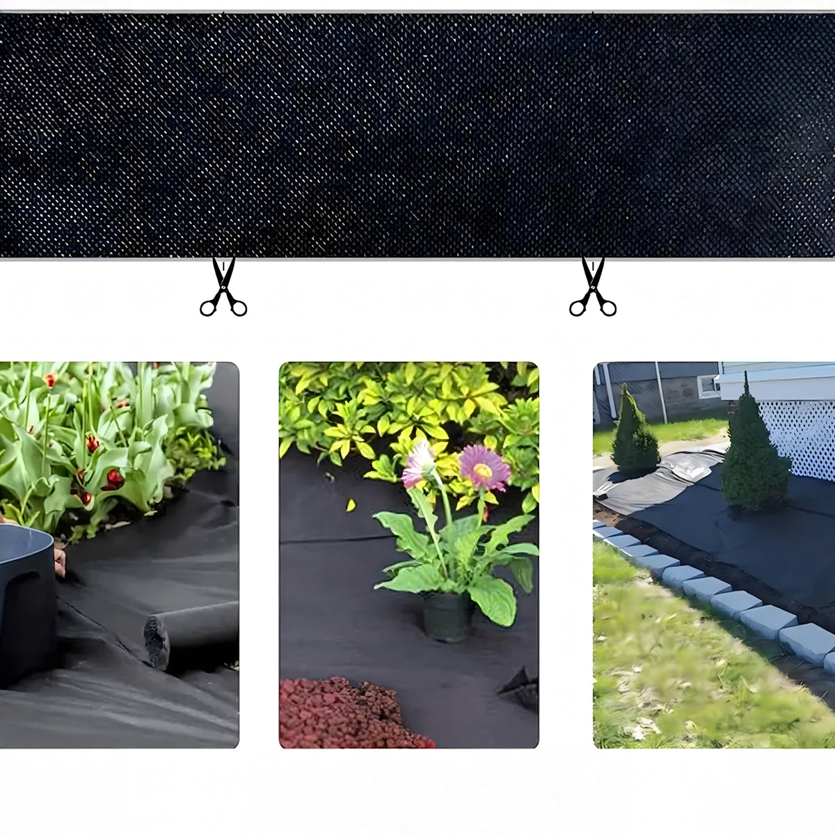 UV-kindel must umbrohutõkkekangas 90 g/m² 1,6 × 50 m RC-K-887-ZŁOŻONANAPÓŁ+KARTON-13980 – pilt 5