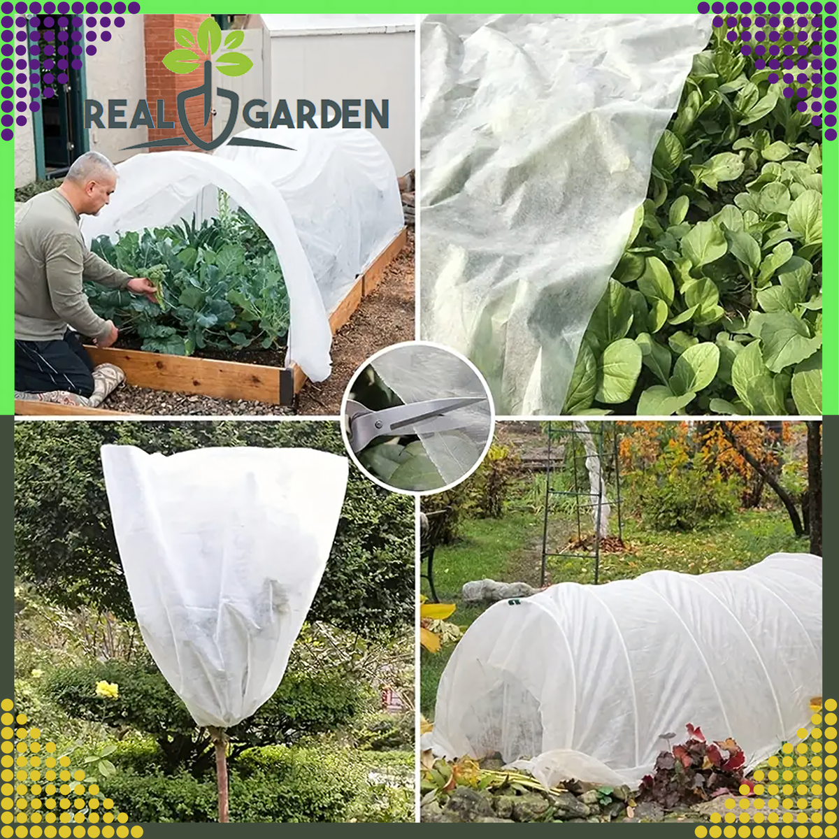 Talvine kaitsev agrotekstiil 50 × 1,6 m 50 g/m² valge RC-K-1349-13730 – pilt 2